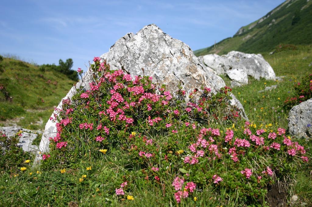 Gasthof "Zur Gemuetlichkeit" Bschlabs Экстерьер фото